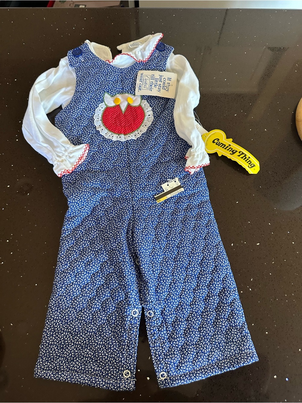 Carter's Blue Floral Overalls Costume with White Shirt and Red Apple Appliqué
